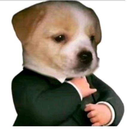225
