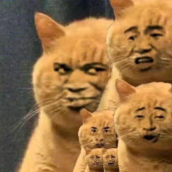 小强灰灰