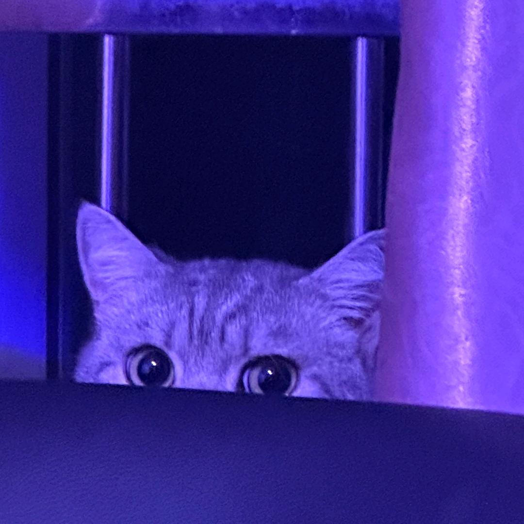 罗塞罗那🥴 ᭄