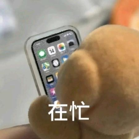 不想改名字了