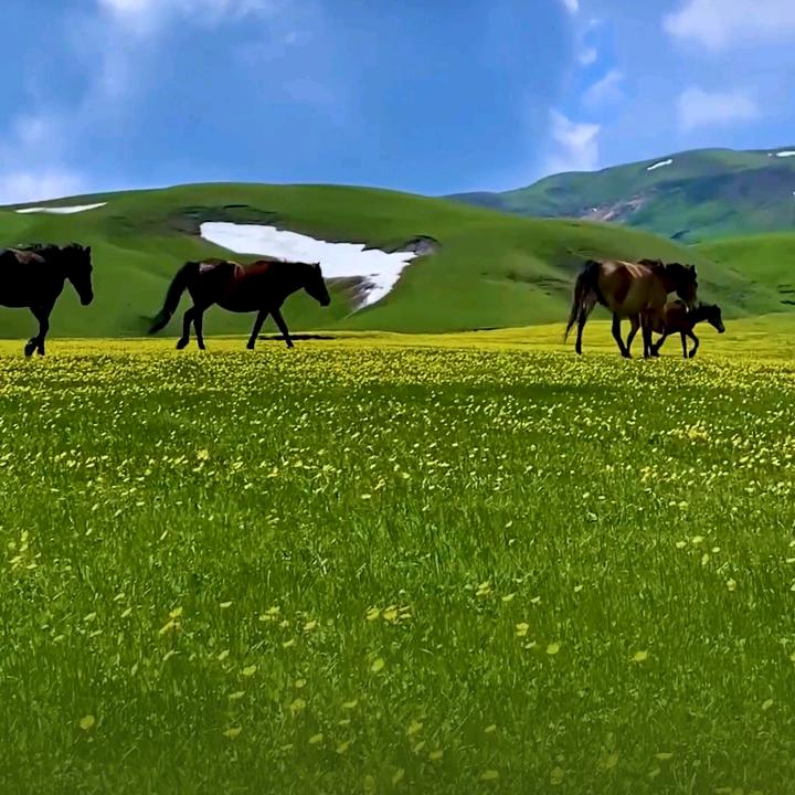 好不容易
