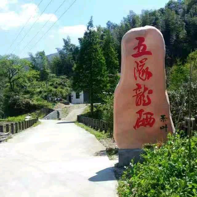 霄坑五队龙硒茶叶专卖店