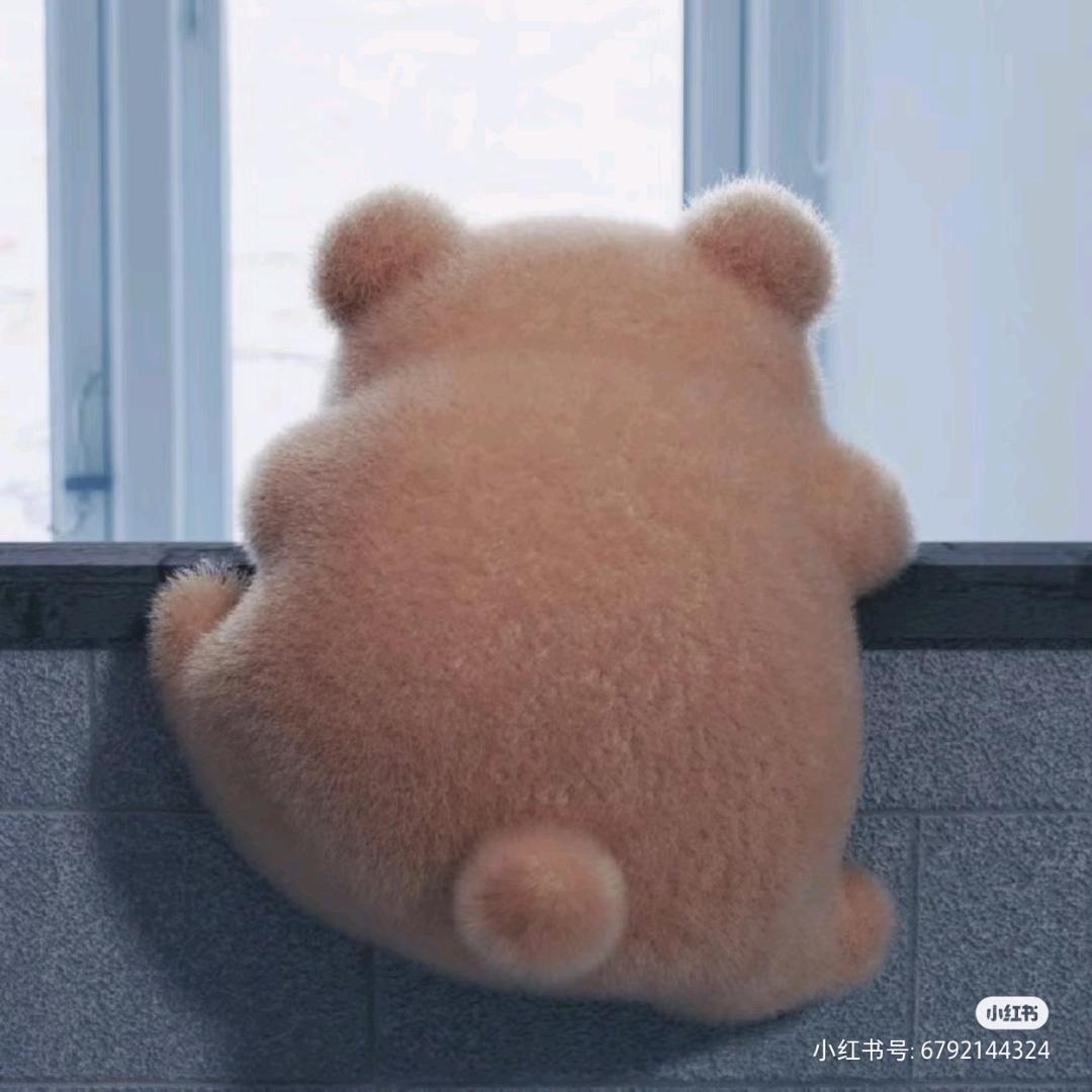 柠檬柚子