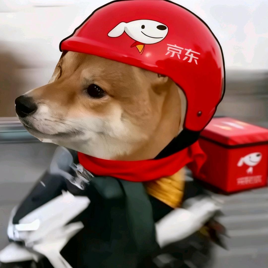 薛不语（京东全职）