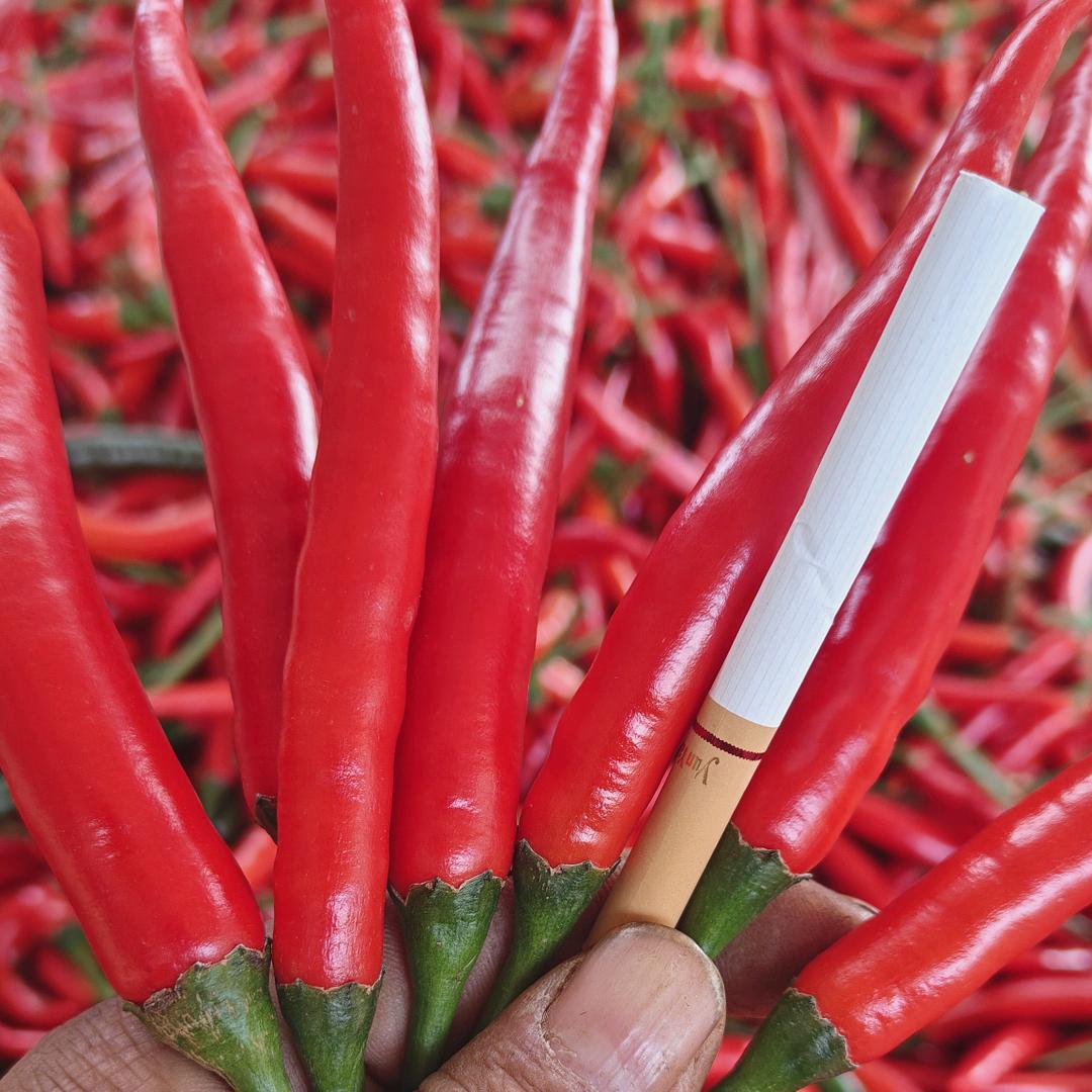 瓦窑农业合作社（助农）