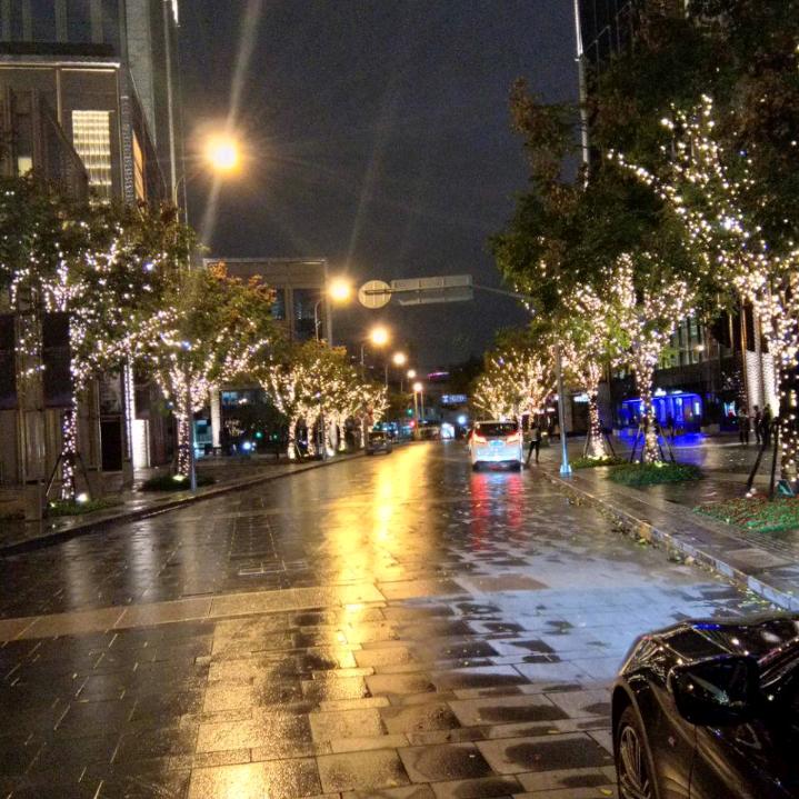 🌷萍水🌾相逢🌴