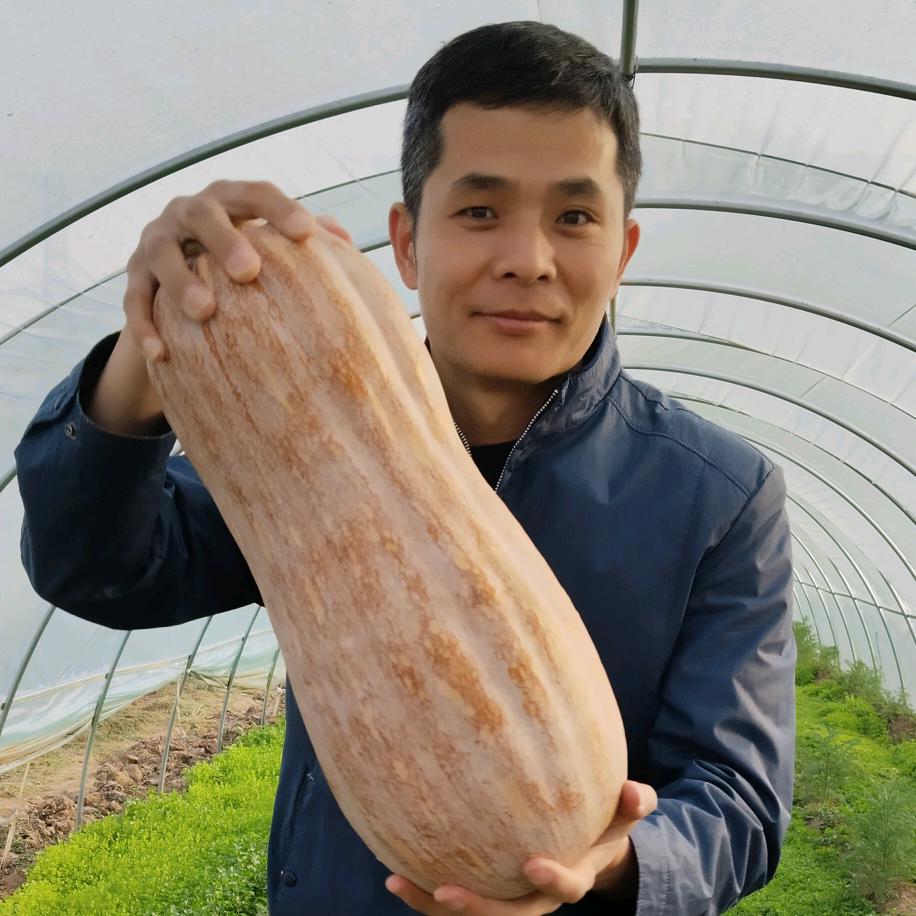 农资老付
