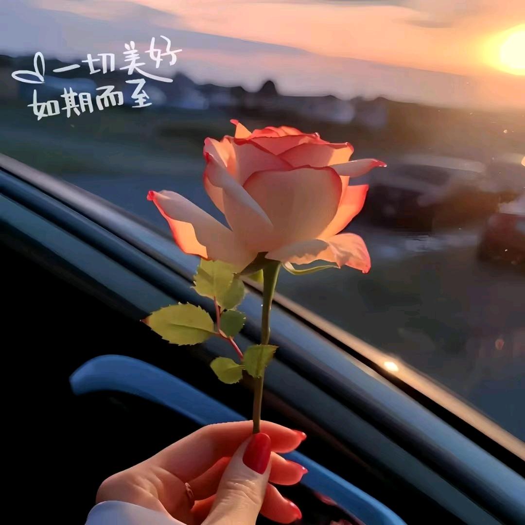 ໑ຼₒ₂₅ღ᭄傻丫头🕊꧔ꦿ᭄💞