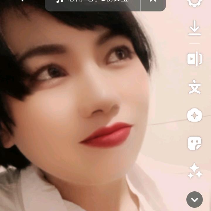 春花秋月