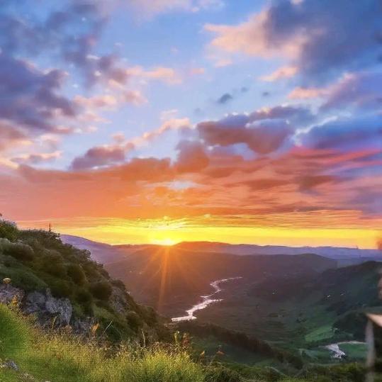 三棵树外墙仿石漆大宝艺术漆-萧萧扬