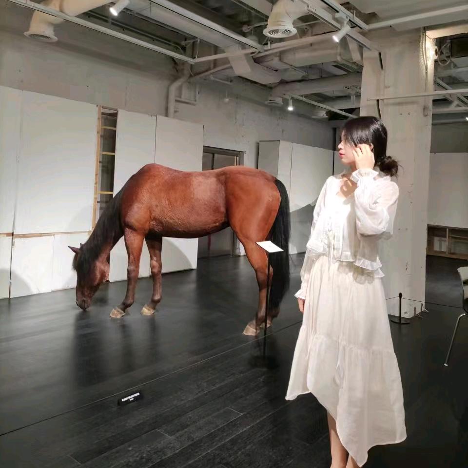 伊伊的讲车日记