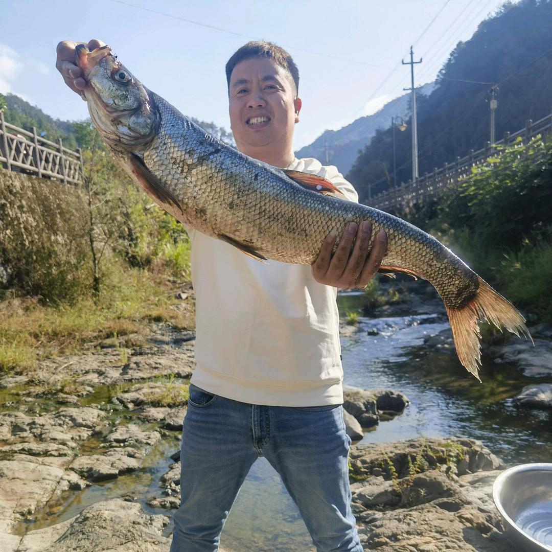随风