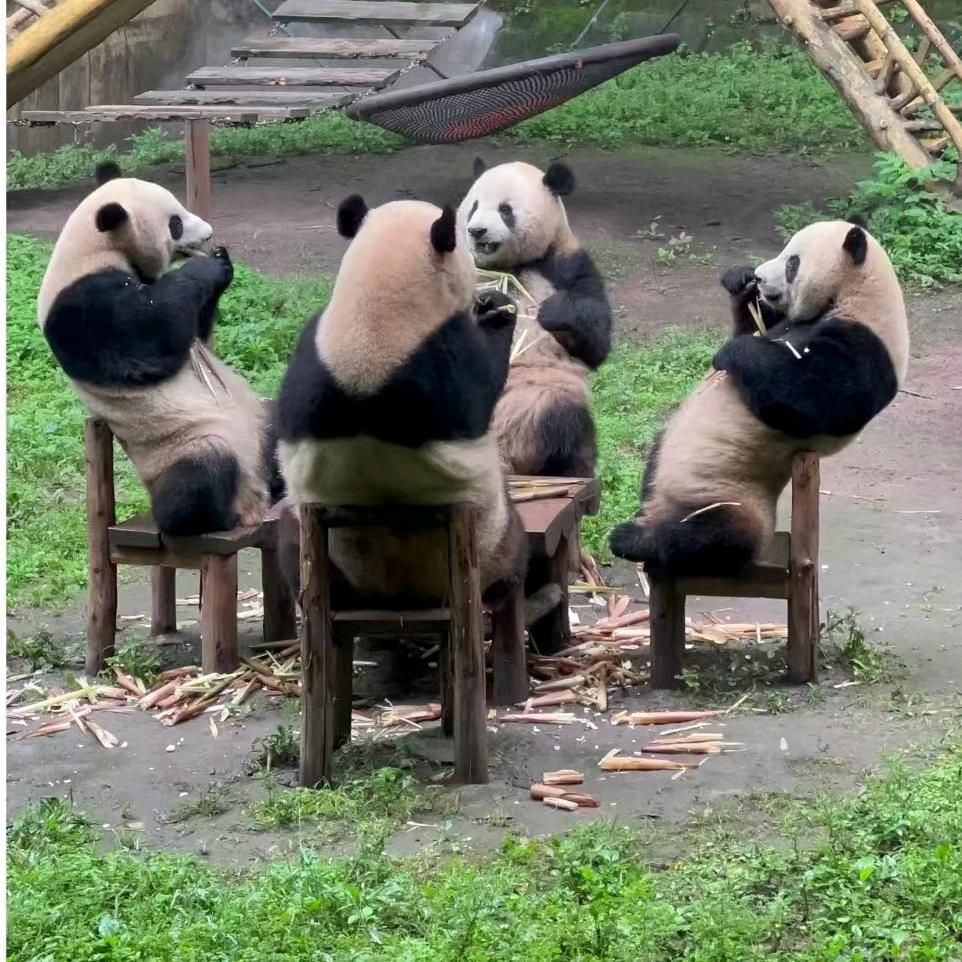 拾荒