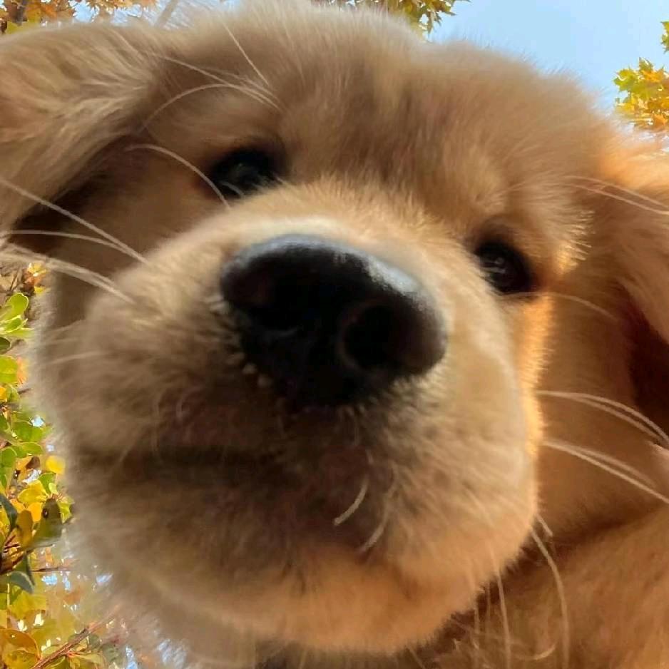 泼天的富贵朝我来