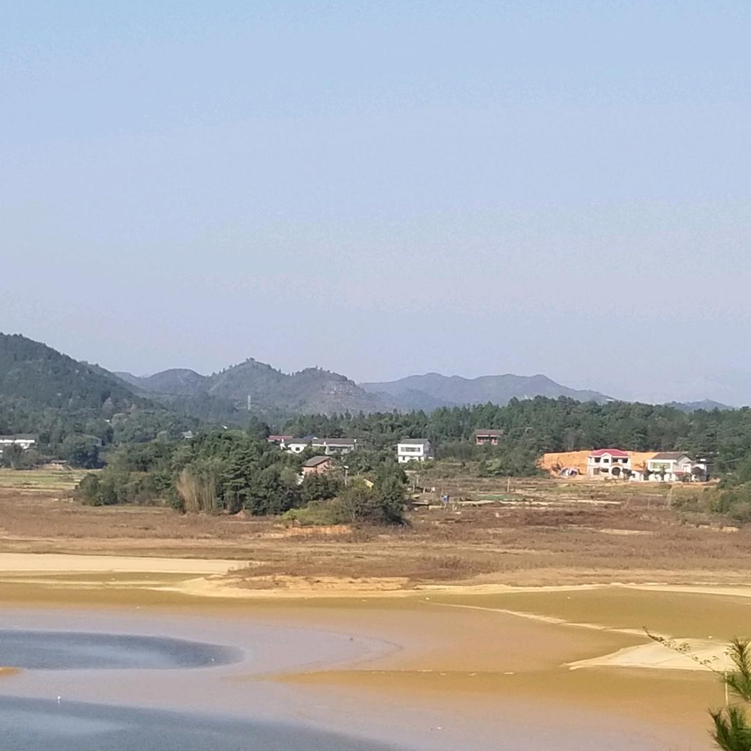 一杯清茶