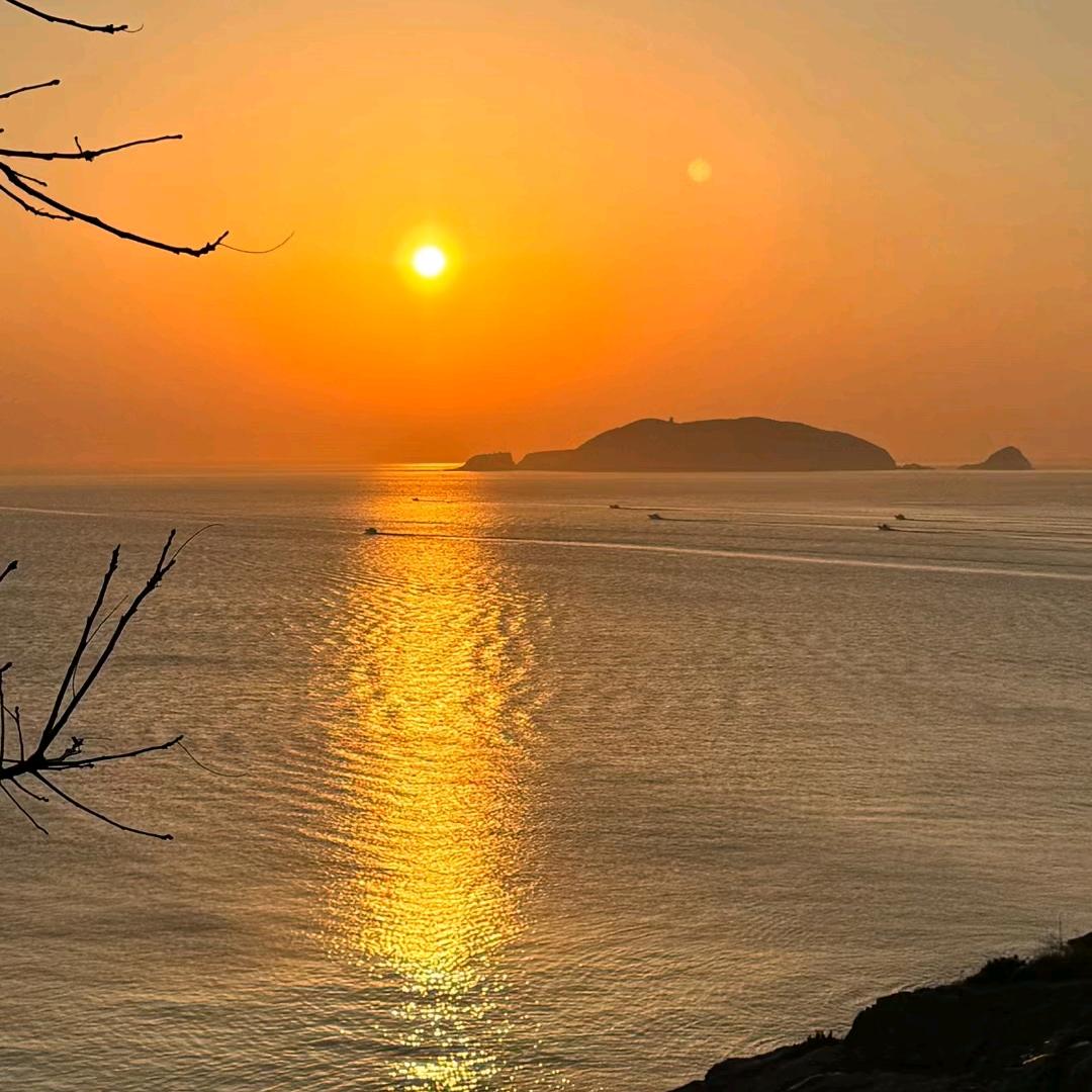 美🐰兔🍡团子