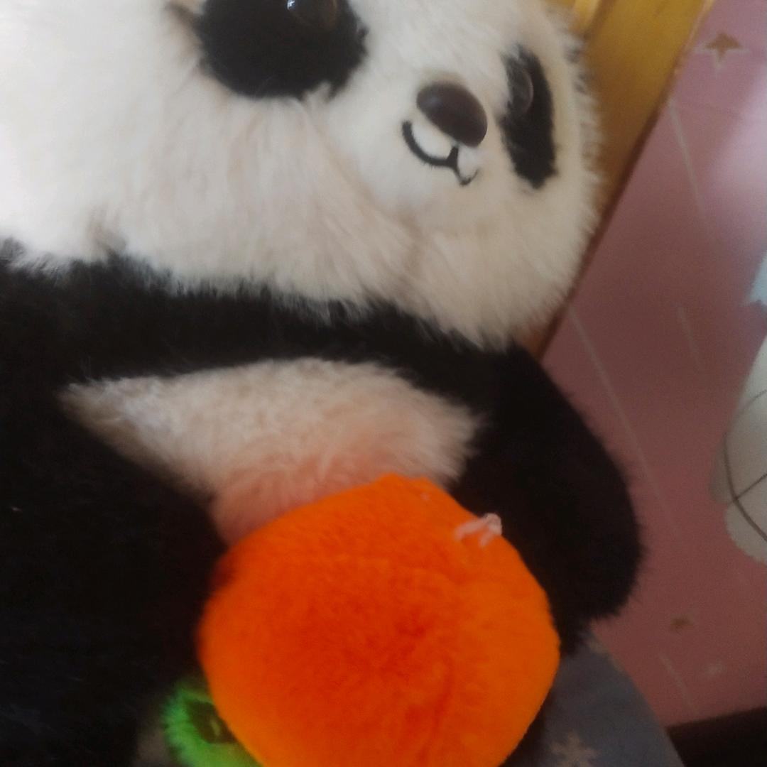 生活