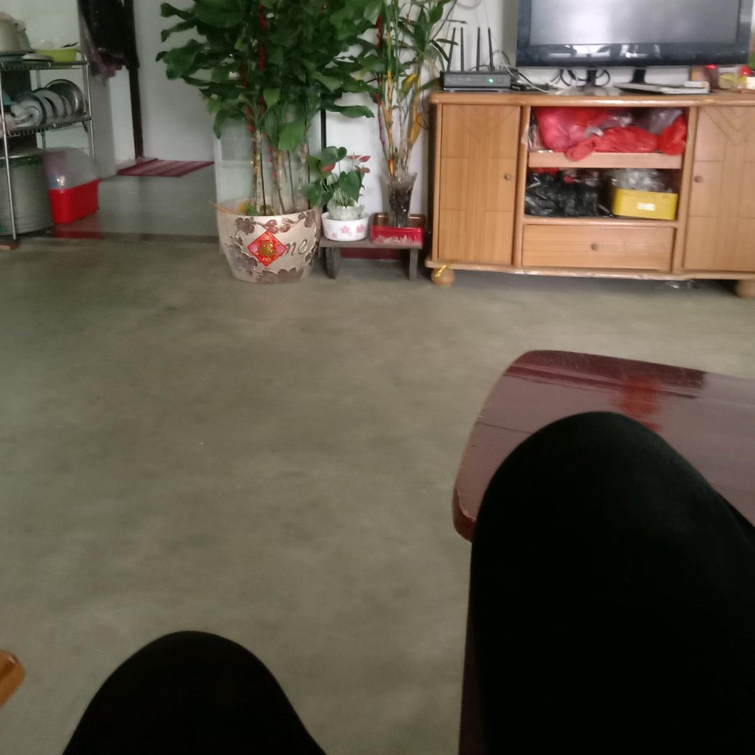娣娣