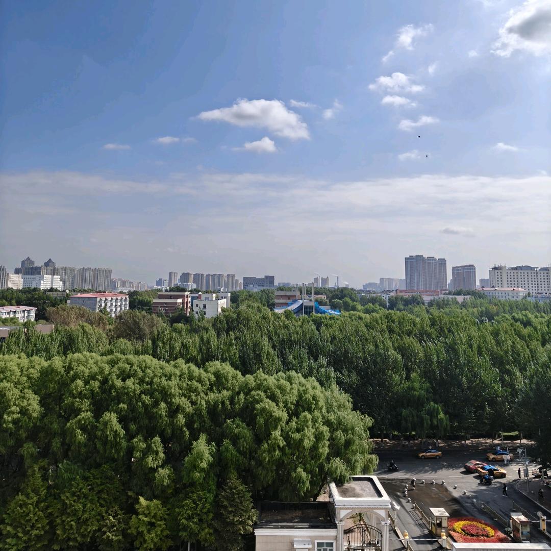 老陈醋