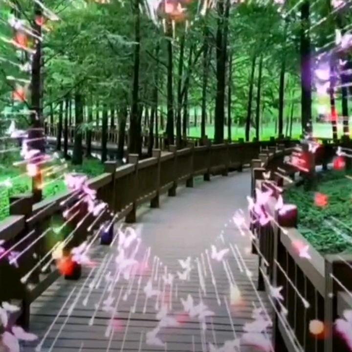做好自己