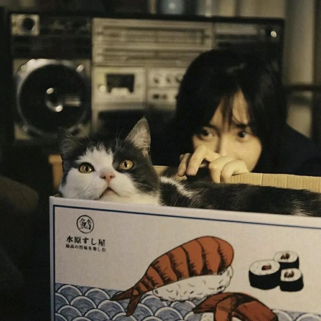 一株向日葵
