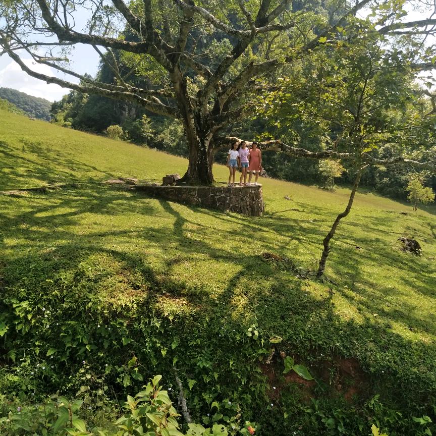 勇往直前向阳而生