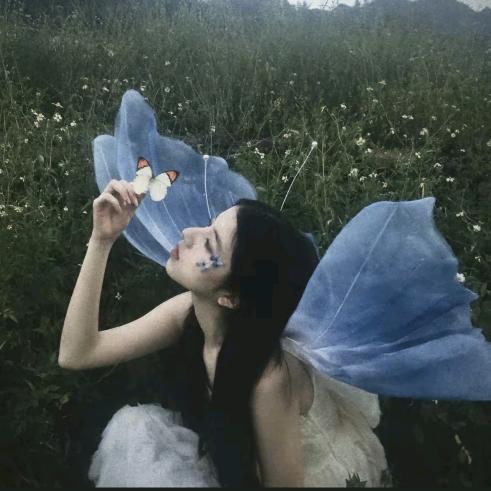 羊羊