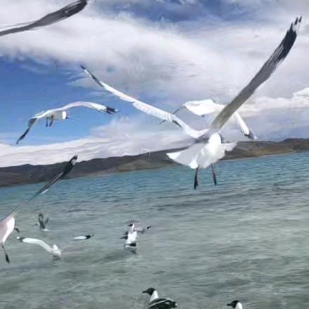 天空中那个最美的星