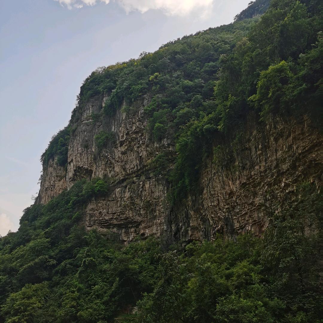 晓晓