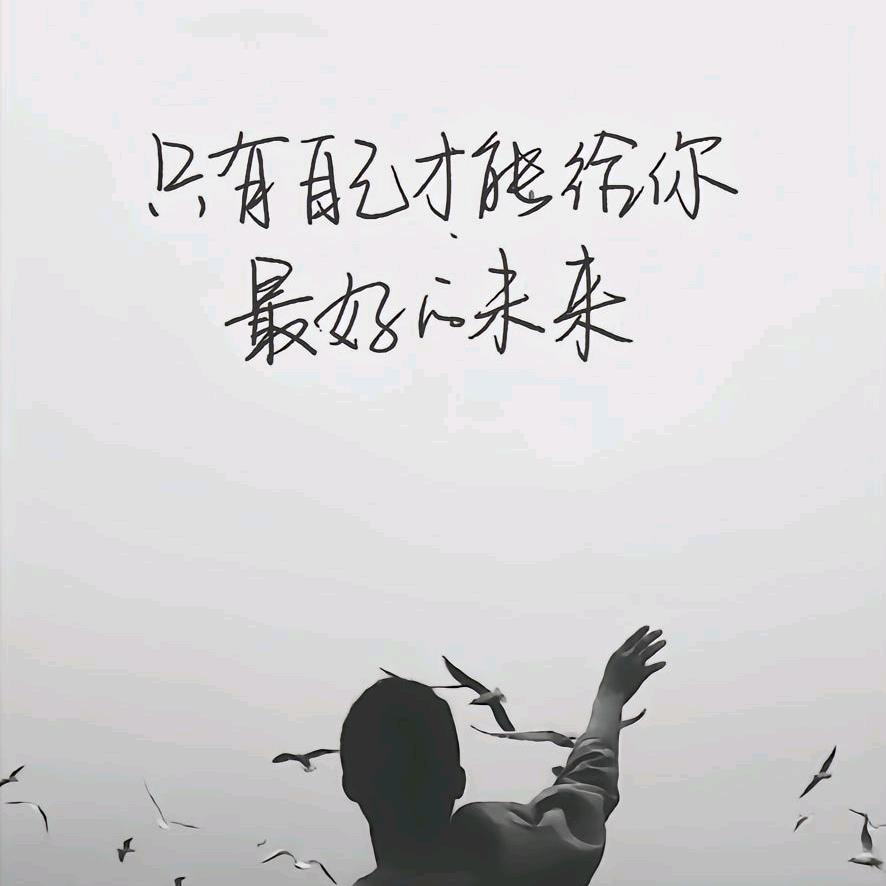 八两金扛家