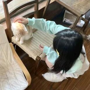 伊仔