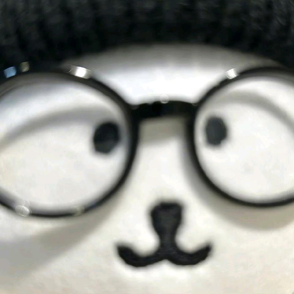 苏黎