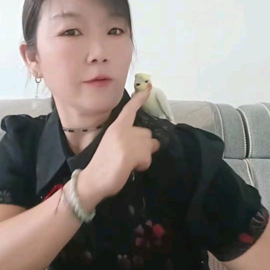 真爱无声710