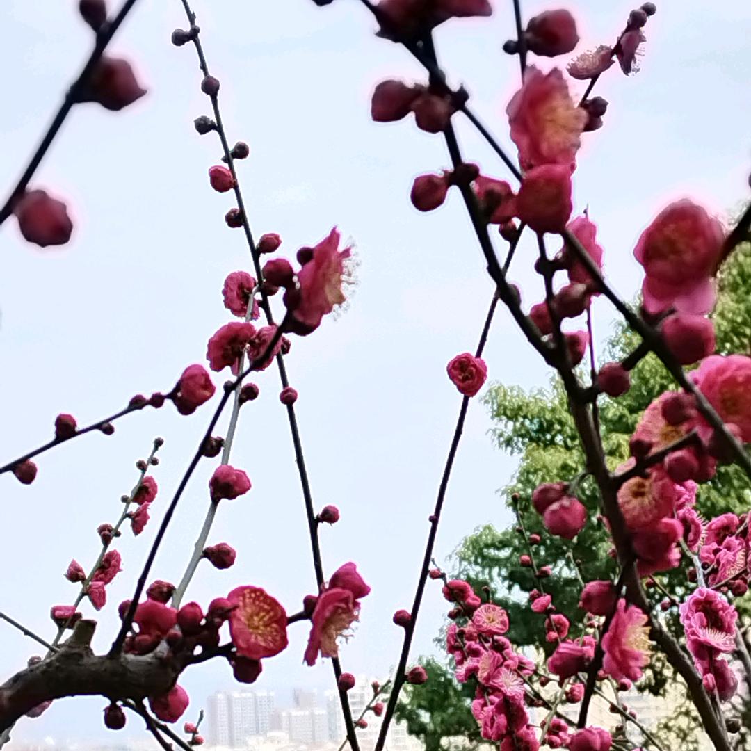 韓∽∽同～～学