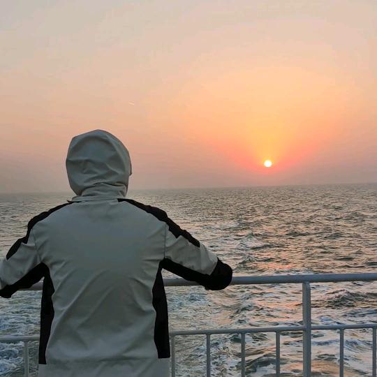 小鱼旅行