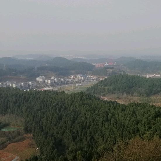 ঠᩚ᭄风中💕的小伙..᭨ᮩ໊࿐