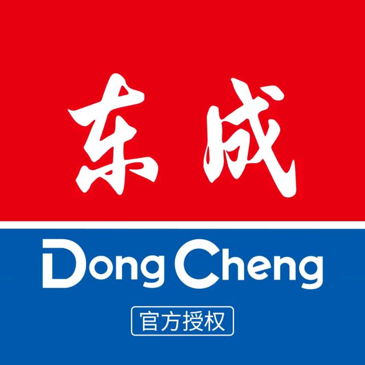 东成华奥电动工具