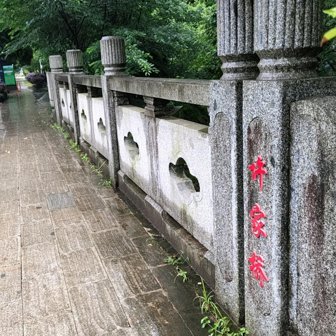 走四方