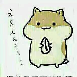 背影