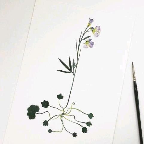 客观看待问题的梁先生