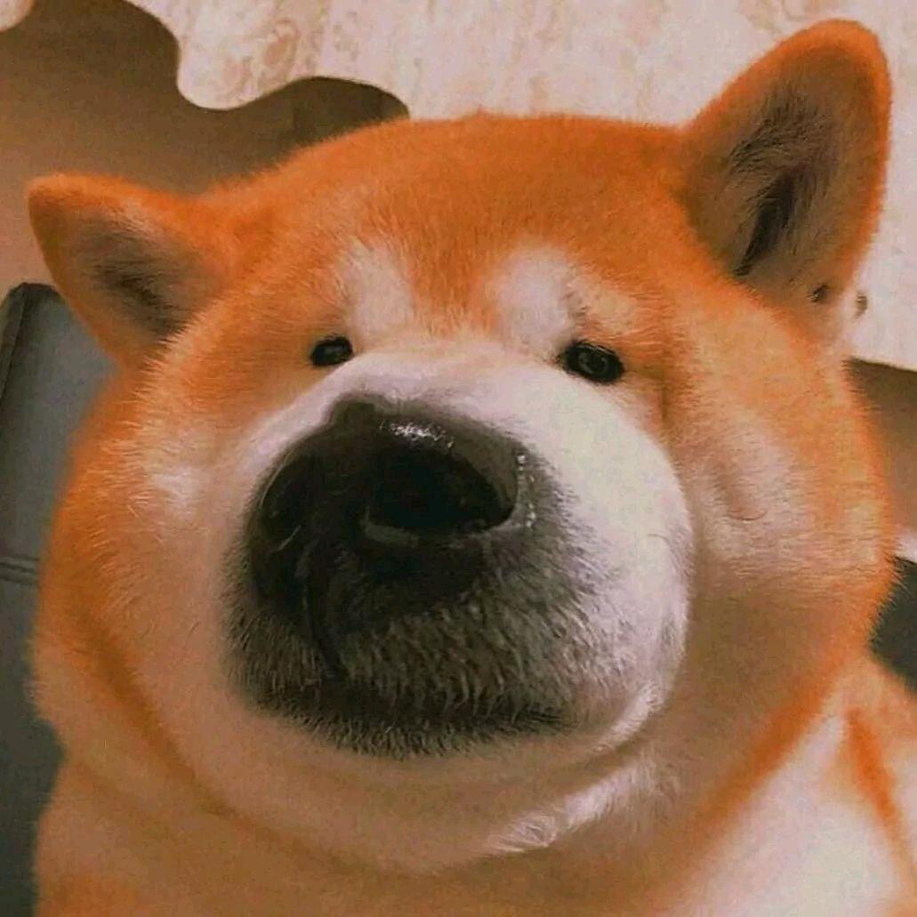 go