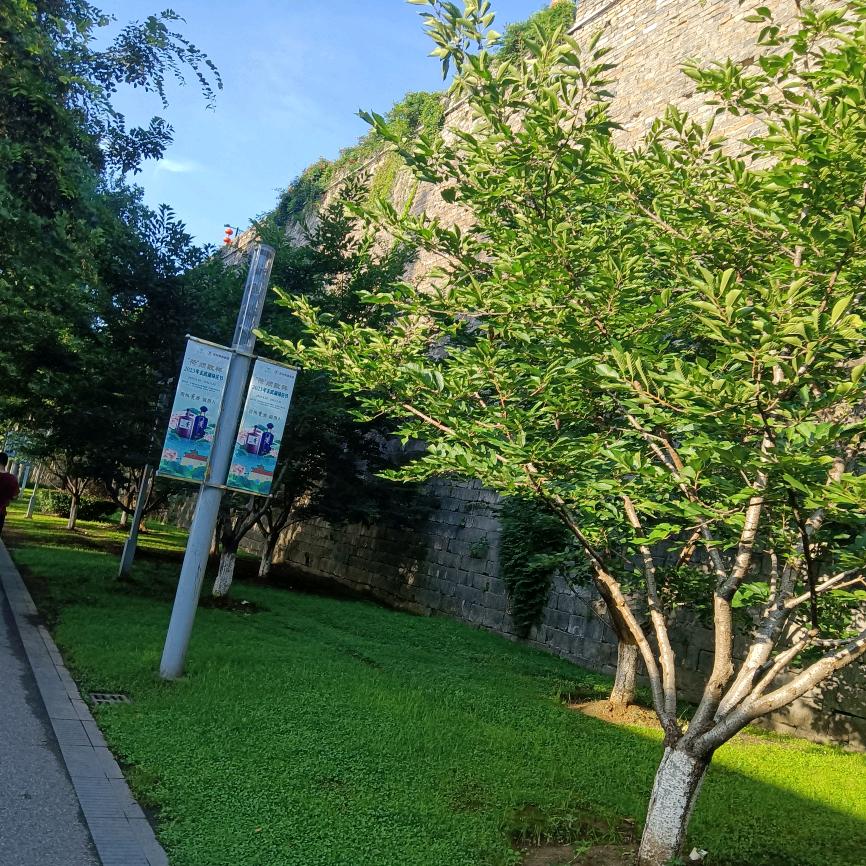 时间不语却回答了所有问题