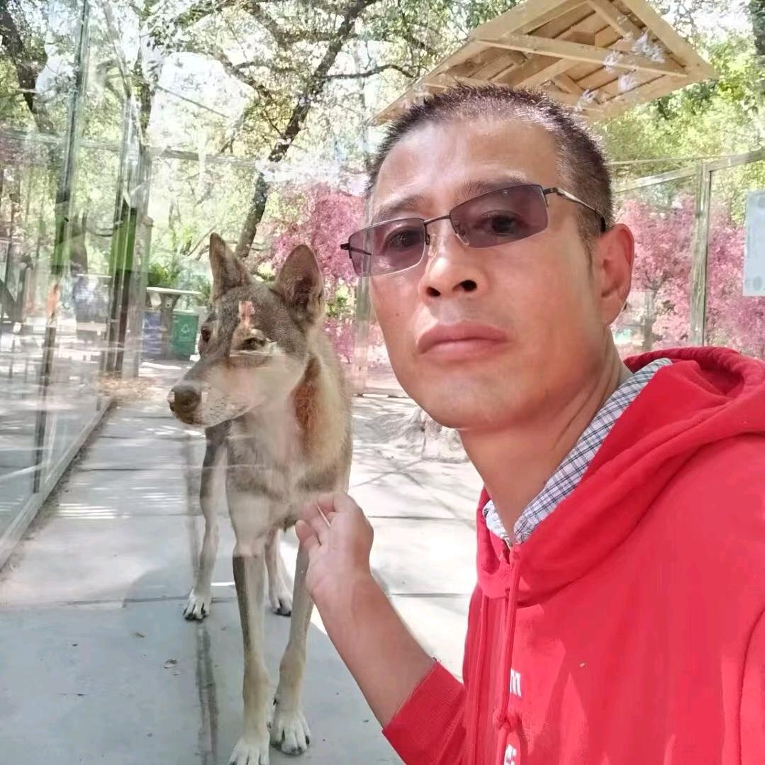 苦尽甘来头像
