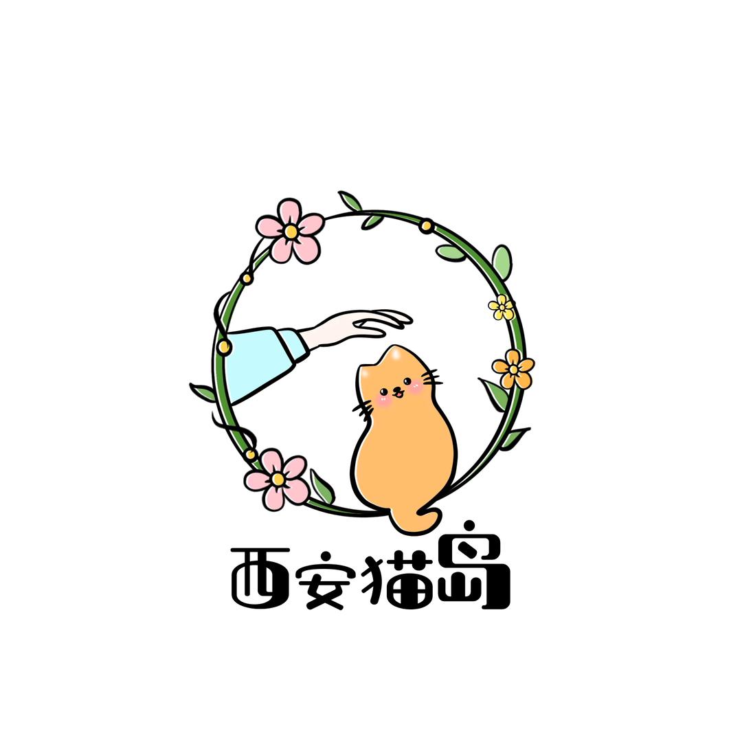 西安猫岛猫坞