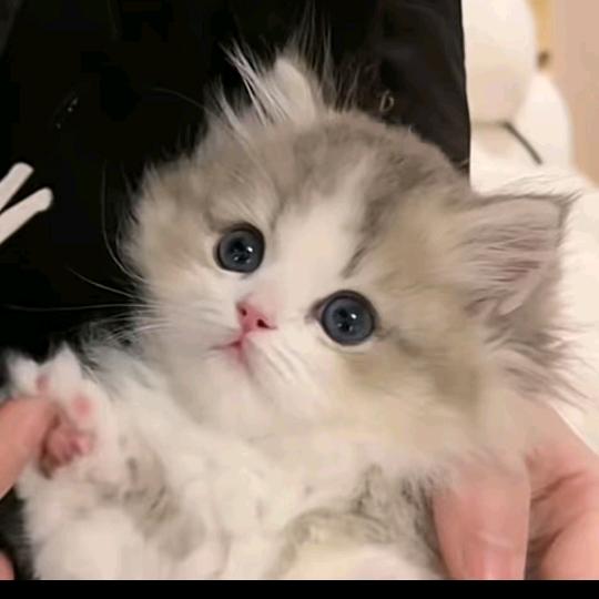 。。。。。。。