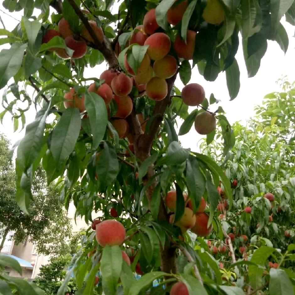 悠闲岁月