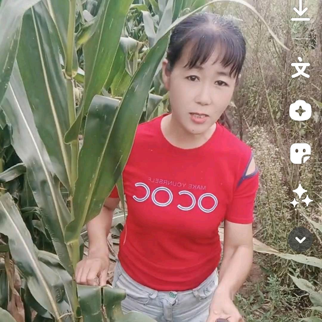 a蓝莓1431