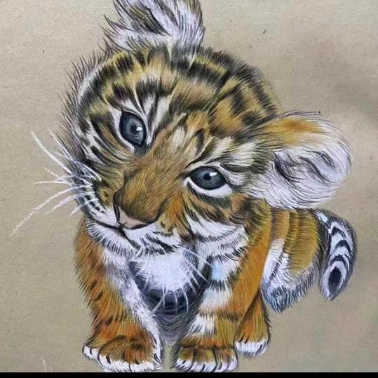 七四年的虎🐯🐯单身大姐