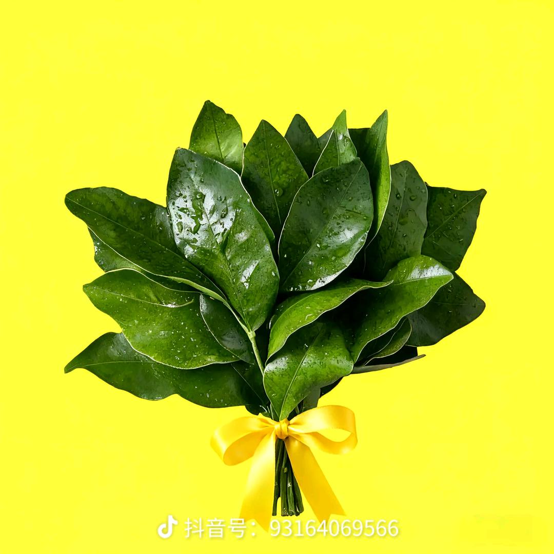 内蒙古发酵羊粪厂家直销