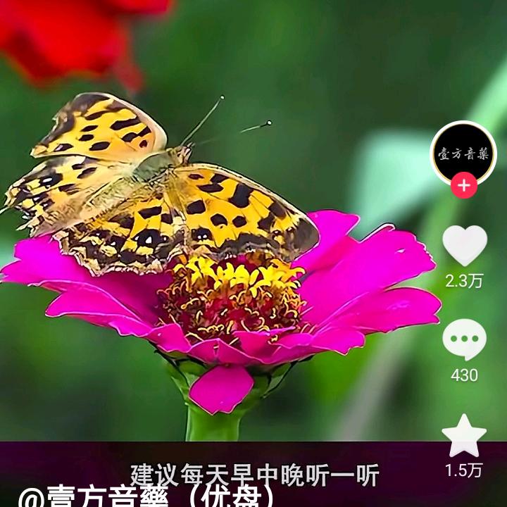 雲游九洲